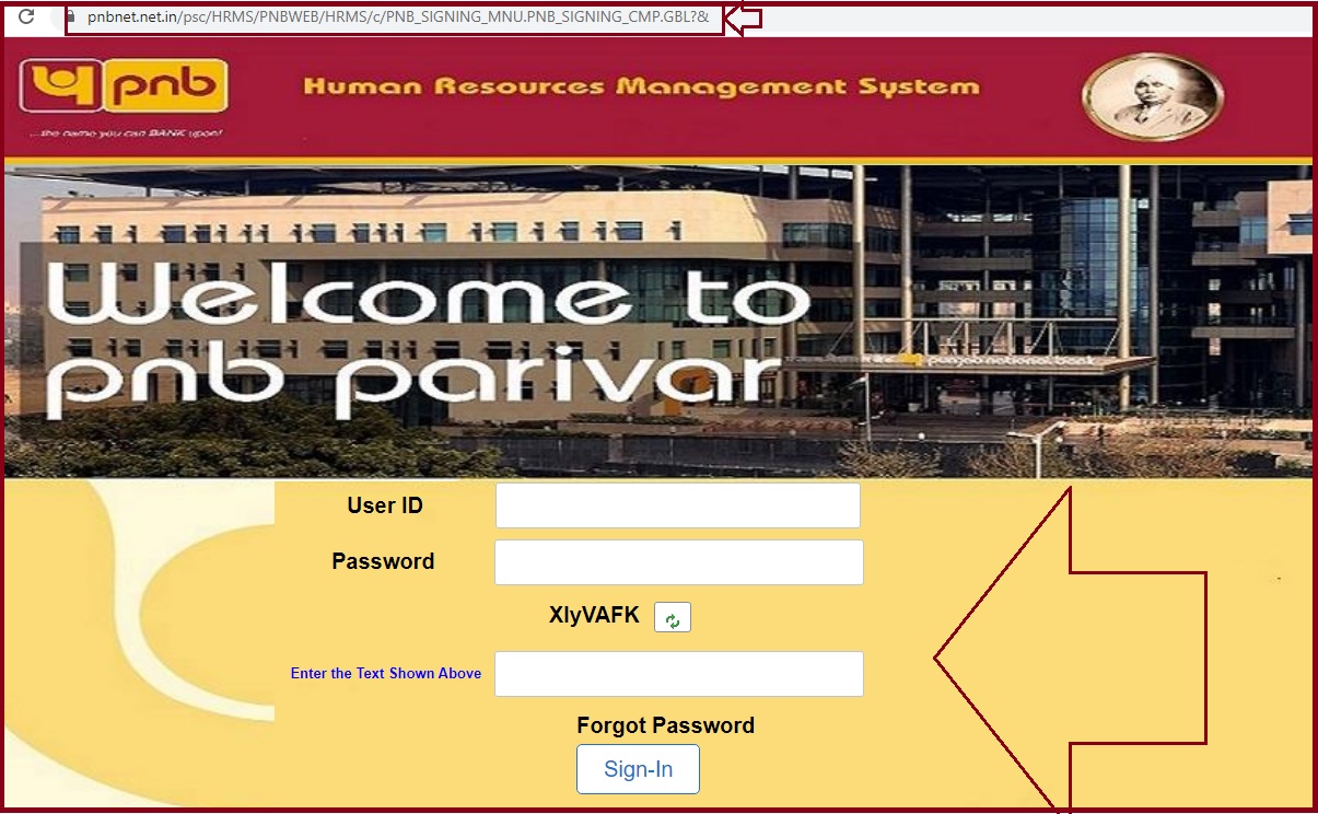 pnb hrms login